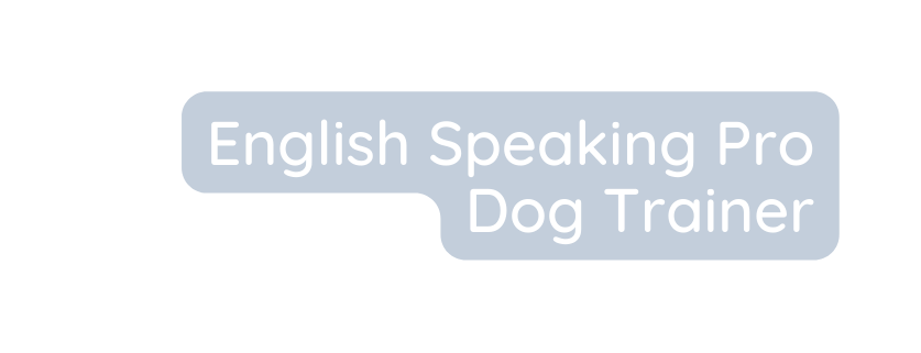 English Speaking Pro Dog Trainer